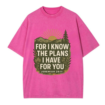 Jeremiah 29:11 Sunrise - Vintage T-shirt - Dusty Rose(Rose)