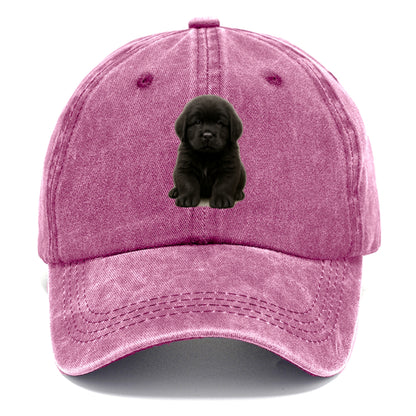 Baby Newfoundland Puppy - giant fluffy black, gentle eyes, webbed paws, front-facing, - Classic Cap - Dusty Rose(Rose)