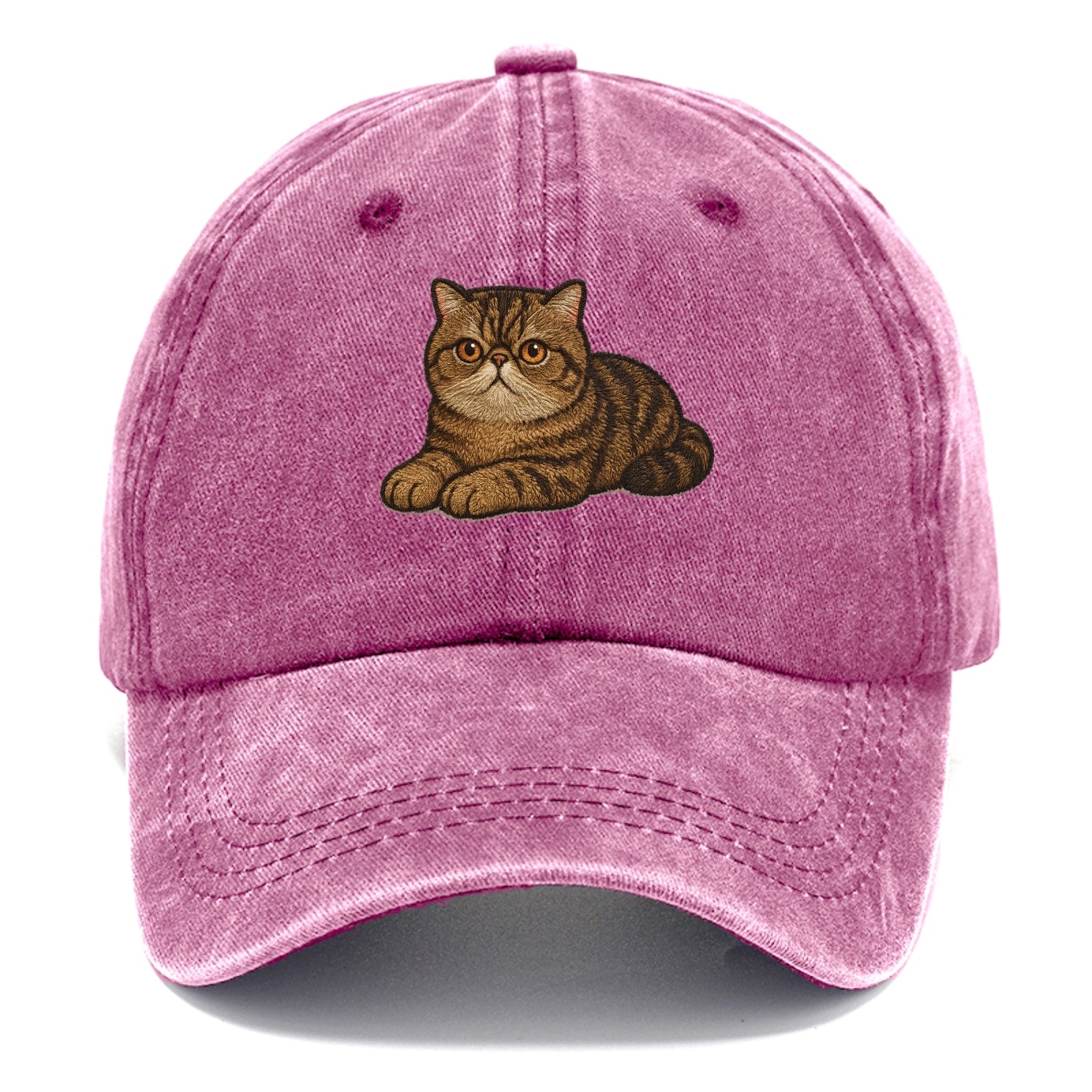 Exotic Shorthair  relaxed lying down wit Classic Cap - Dusty Rose(Rose)