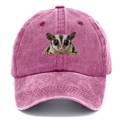 Sugar Glider  - Classic Cap - Dusty Rose(Rose)