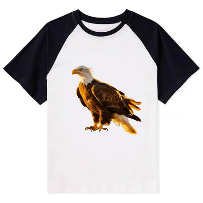 Eagle - Contrast Raglan T-shirt