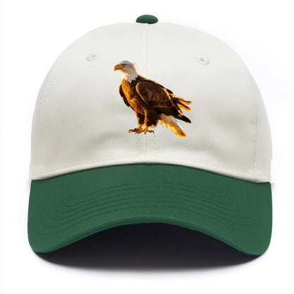 Eagle - Two Tone Cap