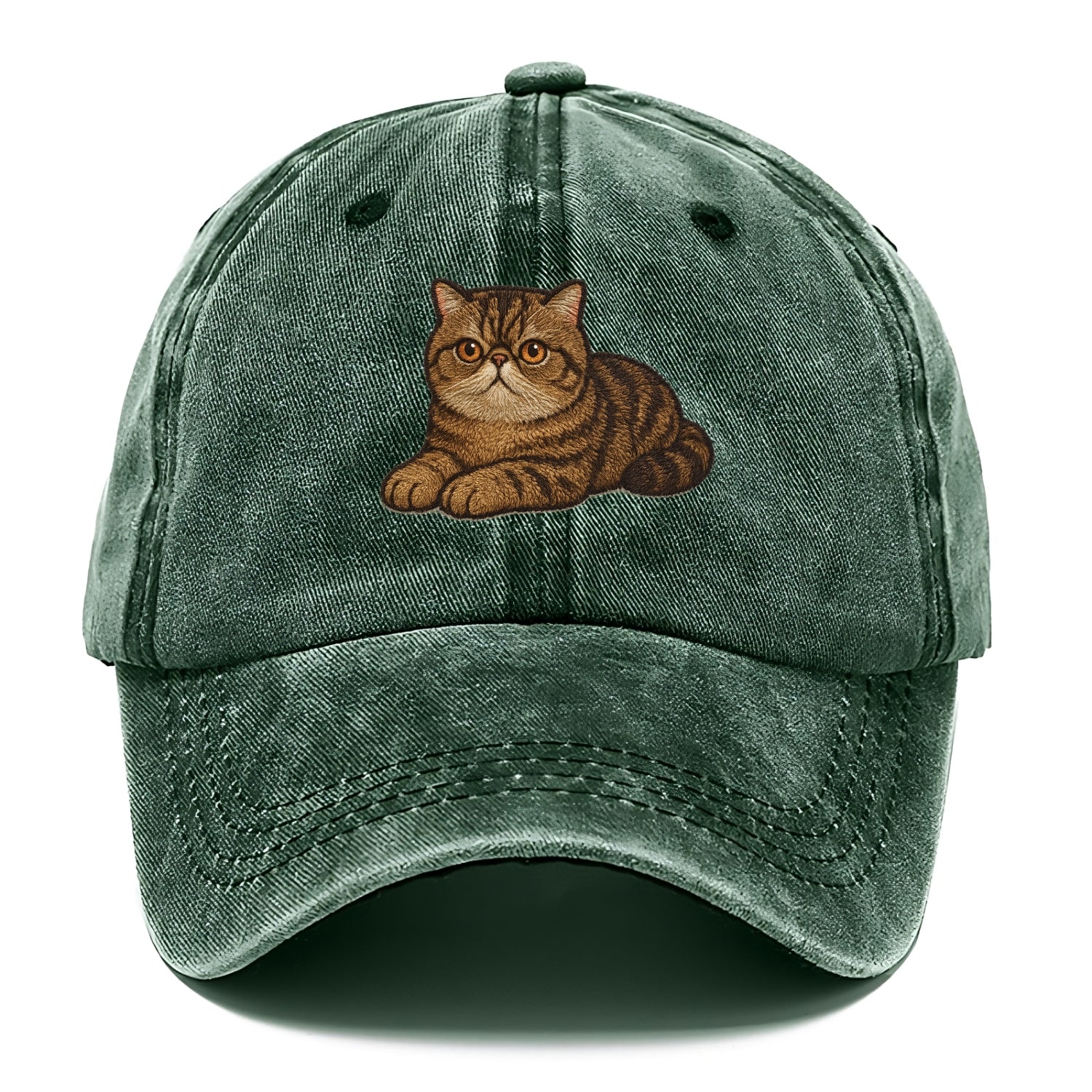 Exotic Shorthair  relaxed lying down wit Classic Cap - Forest Mist(Green)