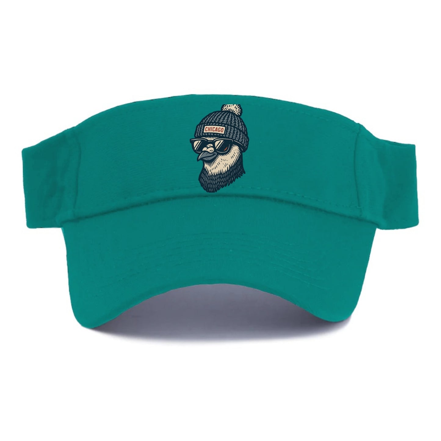 Chicago Pigeon wearing Chicago beanie with pom pom and wayfarer sunglasses - Visor - Forest Mist(Green)