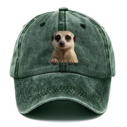 Meerkat  - Classic Cap - Forest Mist(Green)