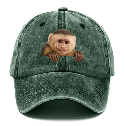 Capuchin Monkey  - Classic Cap - Forest Mist(Green)