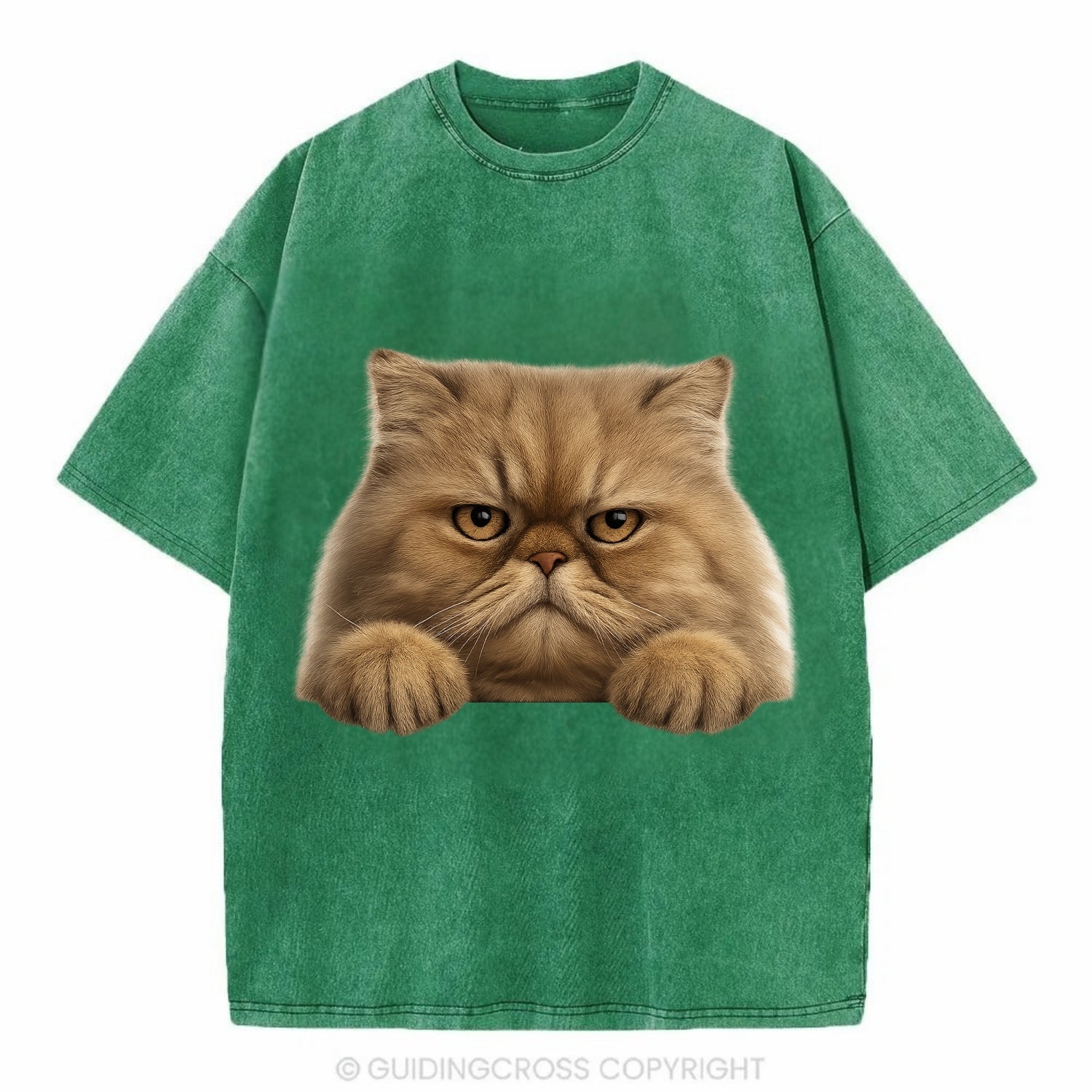 Persian Cat  - Vintage T-shirt - Forest Mist(Green)