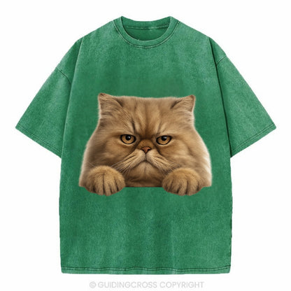 Persian Cat  - Vintage T-shirt - Forest Mist(Green)
