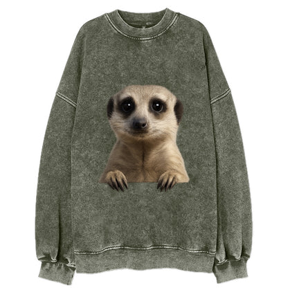 Meerkat  - Vintage Sweatshirt - Forest Mist(Green)