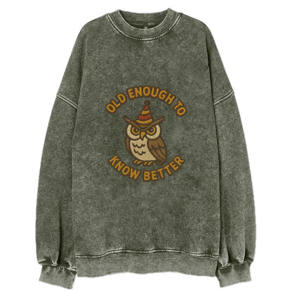 Old Enough To Know Better  - Vintage Sweatshirt - Forest Mist(Green)