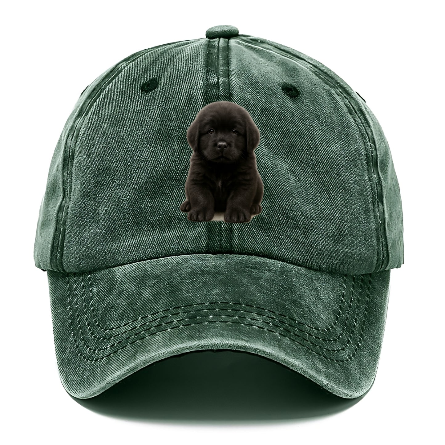 Baby Newfoundland Puppy - giant fluffy black, gentle eyes, webbed paws, front-facing, - Classic Cap - Forest Mist(Green)