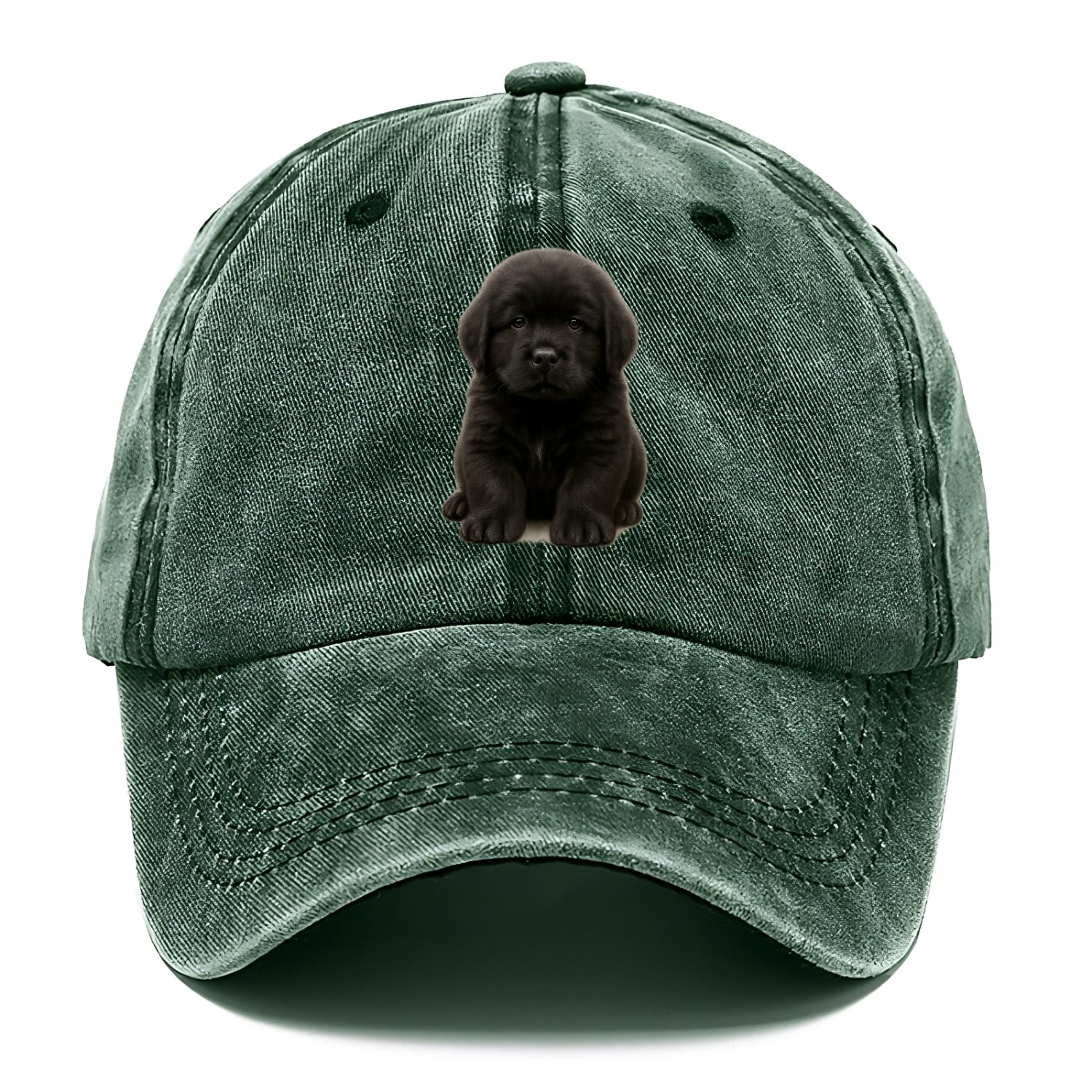 Baby Newfoundland Puppy - giant fluffy black, gentle eyes, webbed paws, front-facing, - Classic Cap - Forest Mist(Green)