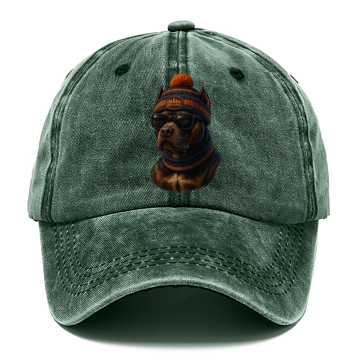 Chicago Pitbull wearing Bears beanie with skyline patch and wayfarer sunglasses - Classic Cap - Forest Mist(Green)