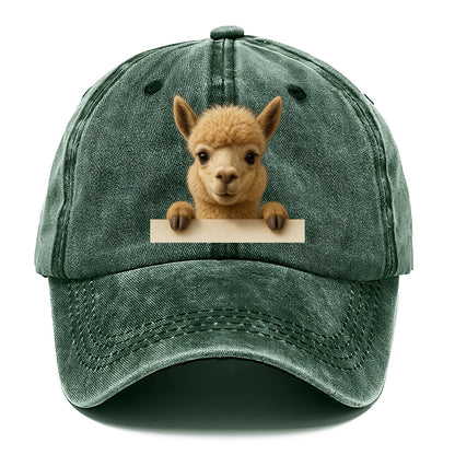 Alpaca  - Classic Cap - Forest Mist(Green)