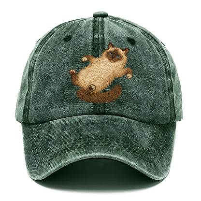 Ragdoll  fully relaxed sprawled out embr Classic Cap - Forest Mist(Green)