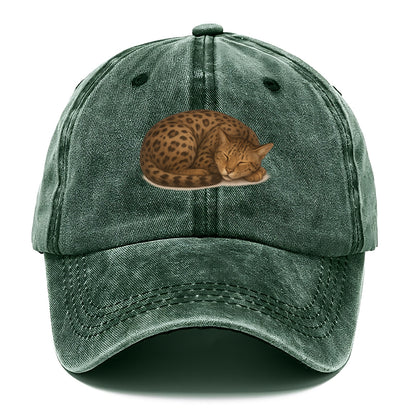 Ashera  - Classic Cap - Forest Mist(Green)