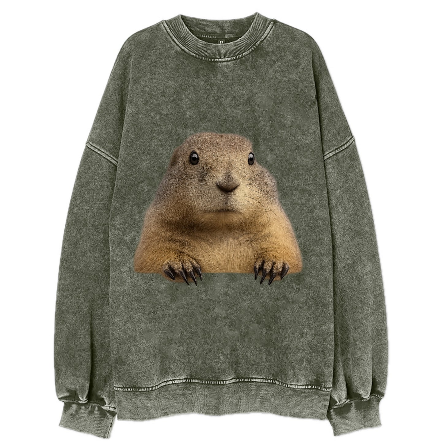 Prairie Dog  - Vintage Sweatshirt - Forest Mist(Green)