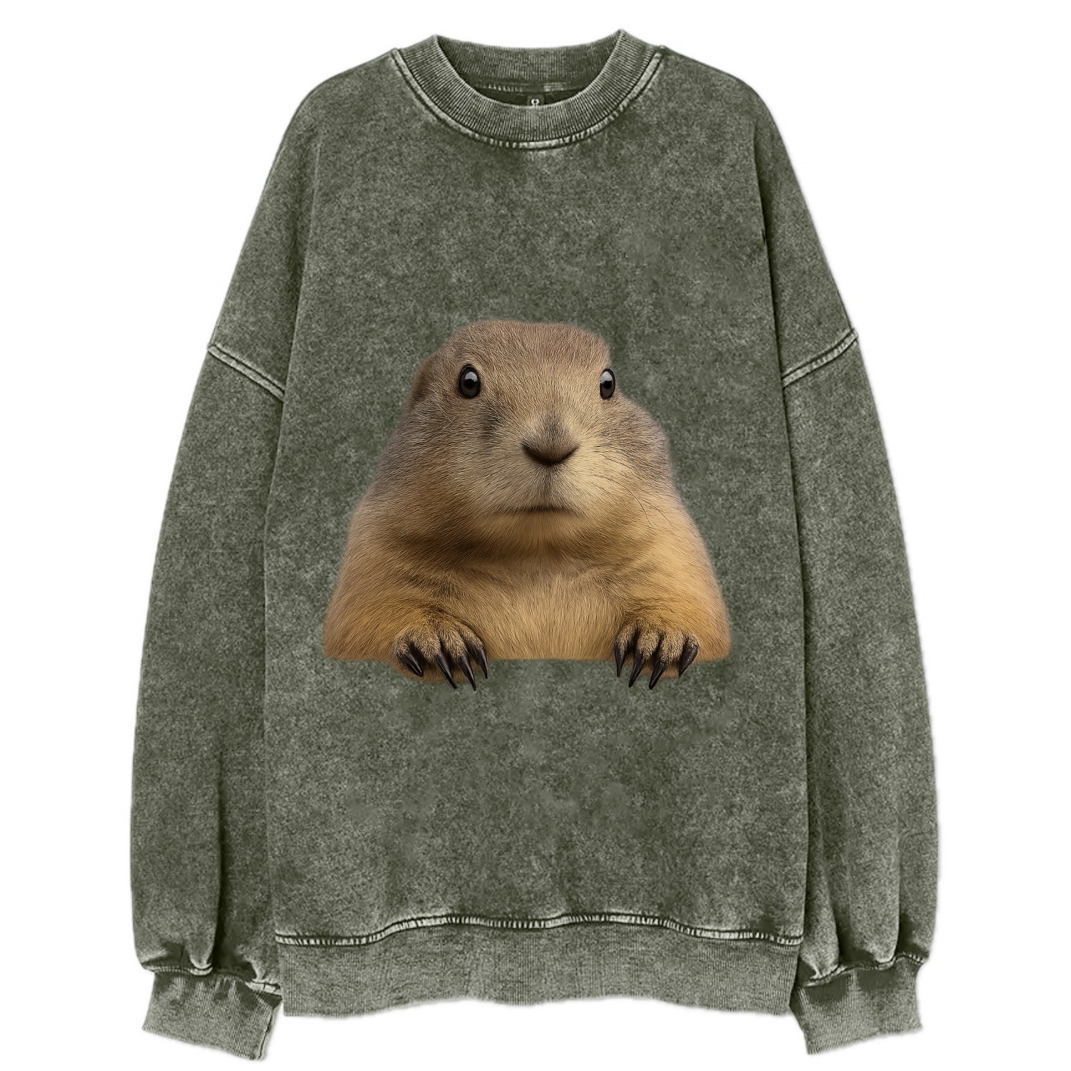 Prairie Dog  - Vintage Sweatshirt - Forest Mist(Green)