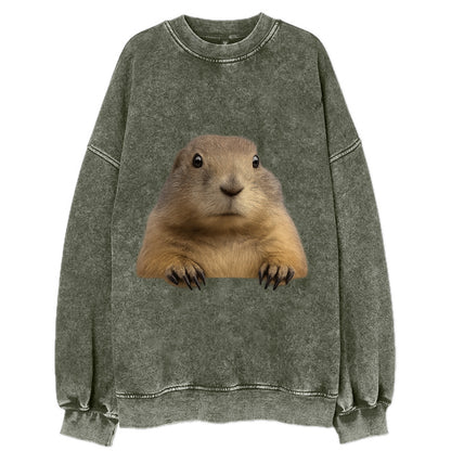 Prairie Dog  - Vintage Sweatshirt - Forest Mist(Green)