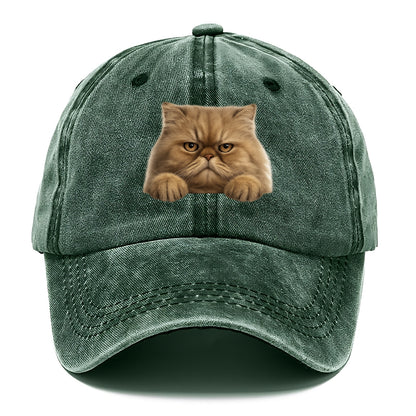 Persian Cat  - Classic Cap - Forest Mist(Green)