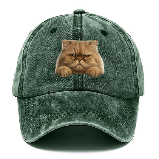 Persian Cat  - Classic Cap - Forest Mist(Green)