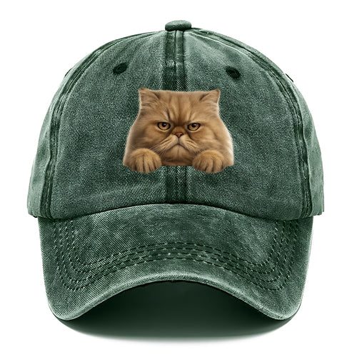 Persian Cat  - Classic Cap