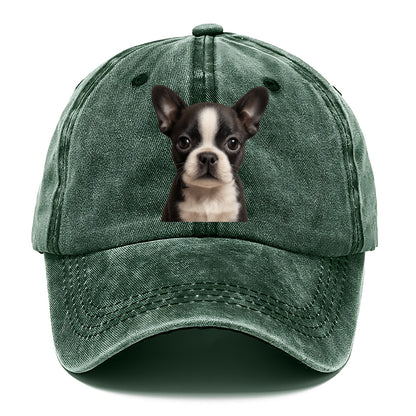 Baby Boston Terrier Puppy - tuxedo markings, big round eyes, bat ears, front-facing, - Classic Cap - Forest Mist(Green)