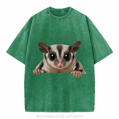 Sugar Glider  - Vintage T-shirt - Forest Mist(Green)