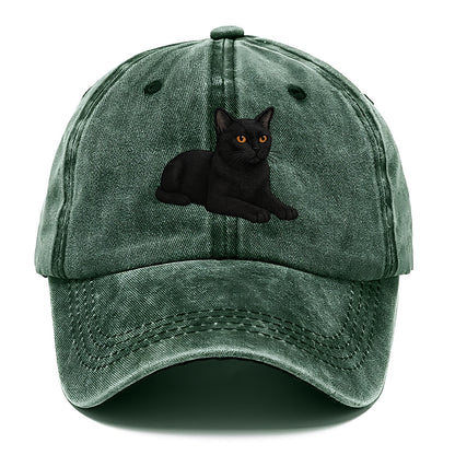 Bombay  relaxed lying down with head up Classic Cap - Forest Mist(Green)