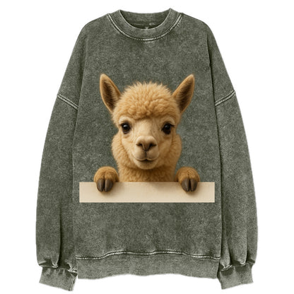 Alpaca  - Vintage Sweatshirt - Forest Mist(Green)