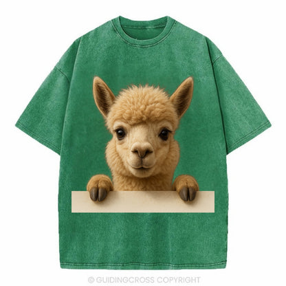 Alpaca  - Vintage T-shirt - Forest Mist(Green)