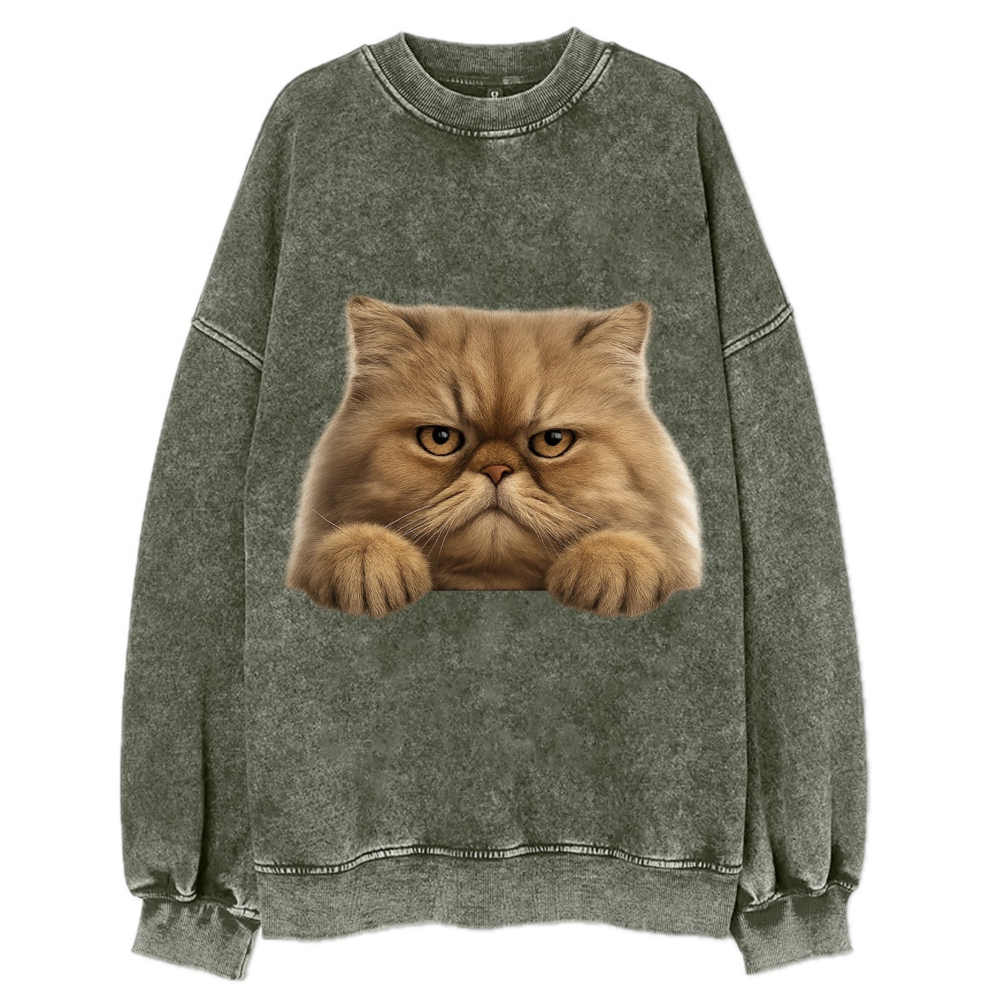 Persian Cat  - Vintage Sweatshirt - Forest Mist(Green)