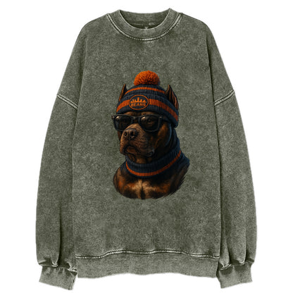 Chicago Pitbull wearing Bears beanie with skyline patch and wayfarer sunglasses - Vintage Sweatshirt - Forest Mist(Green)