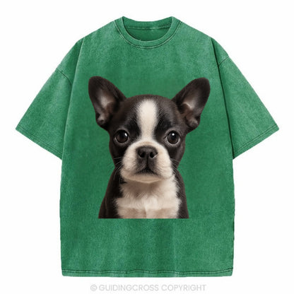 Baby Boston Terrier Puppy - tuxedo markings, big round eyes, bat ears, - Vintage T-shirt - Forest Mist(Green)