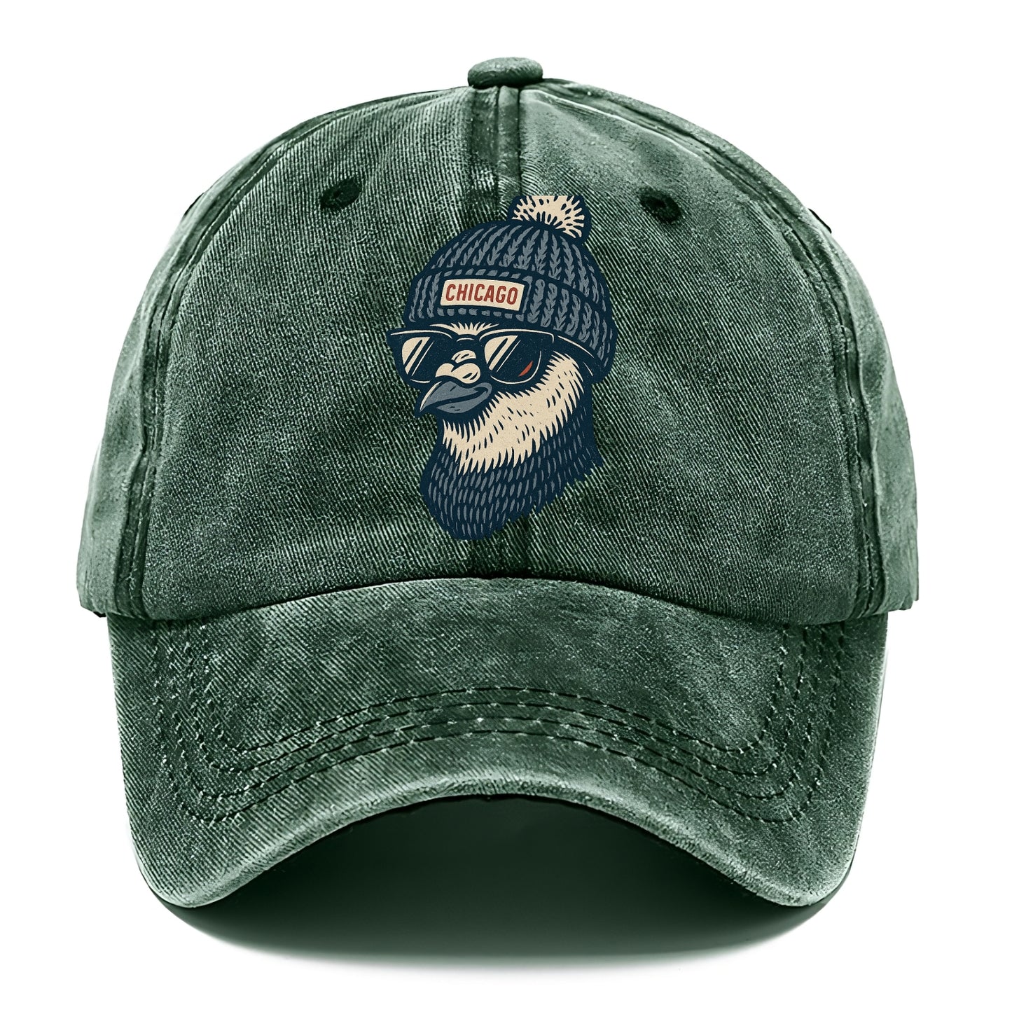 Chicago Pigeon wearing Chicago beanie with pom pom and wayfarer sunglasses - Classic Cap - Forest Mist(Green)