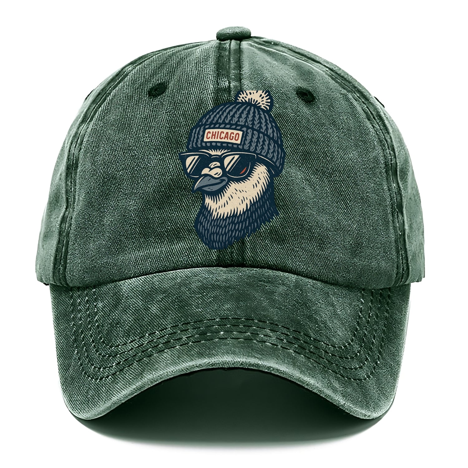 Chicago Pigeon wearing Chicago beanie with pom pom and wayfarer sunglasses - Classic Cap - Forest Mist(Green)