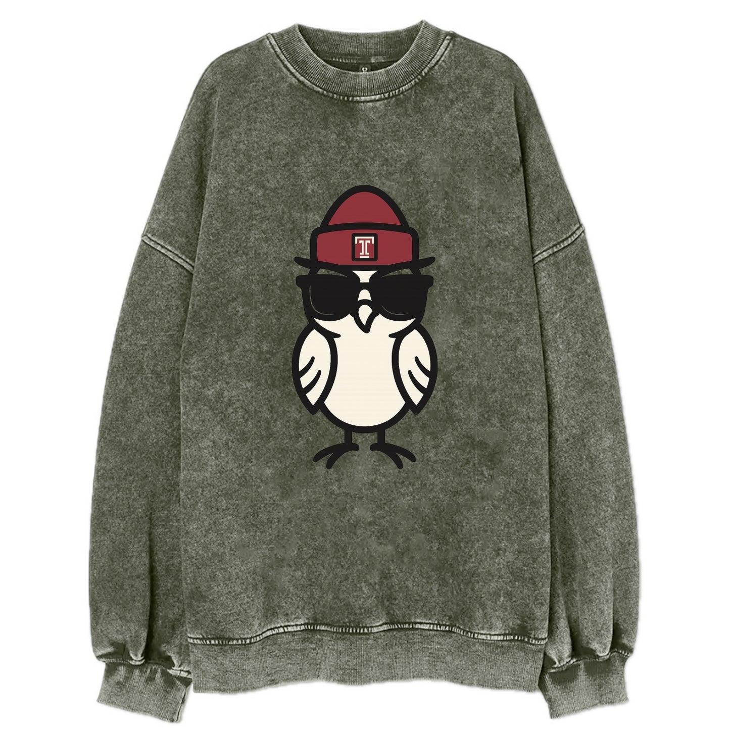 Philadelphia Owl wearing Temple beanie with T patch - Vintage Sweatshirt - Forest Mist(Green)