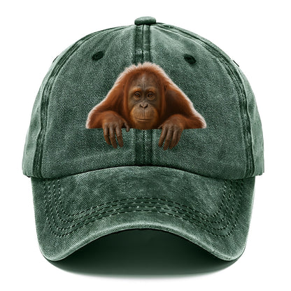 Orangutan  - Classic Cap - Forest Mist(Green)