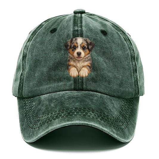 Baby Australian Shepherd Puppy - merle coat, bright eyes, fluffy, front-facing, smart - Classic Cap - Forest Mist(Green)