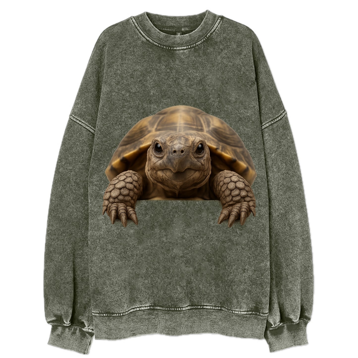 Tortoise  - Vintage Sweatshirt - Forest Mist(Green)