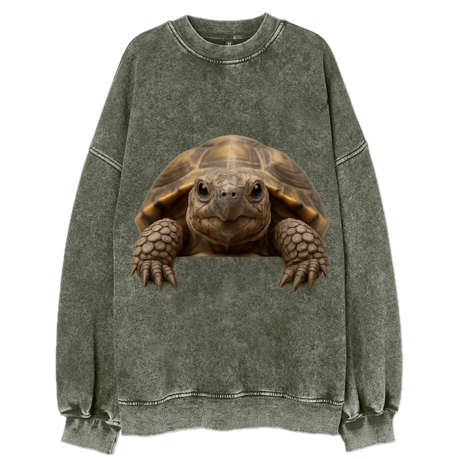 Tortoise  - Vintage Sweatshirt - Forest Mist(Green)