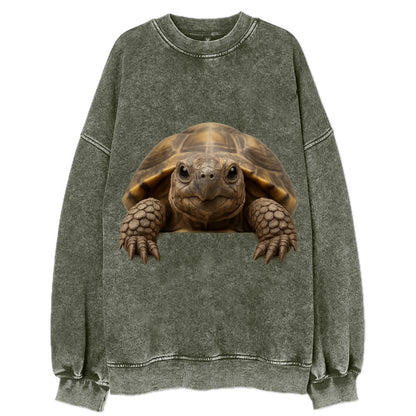 Tortoise  - Vintage Sweatshirt - Forest Mist(Green)