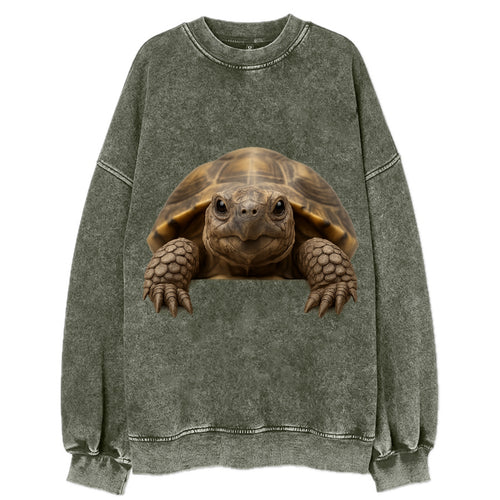 Tortoise  - Vintage Sweatshirt