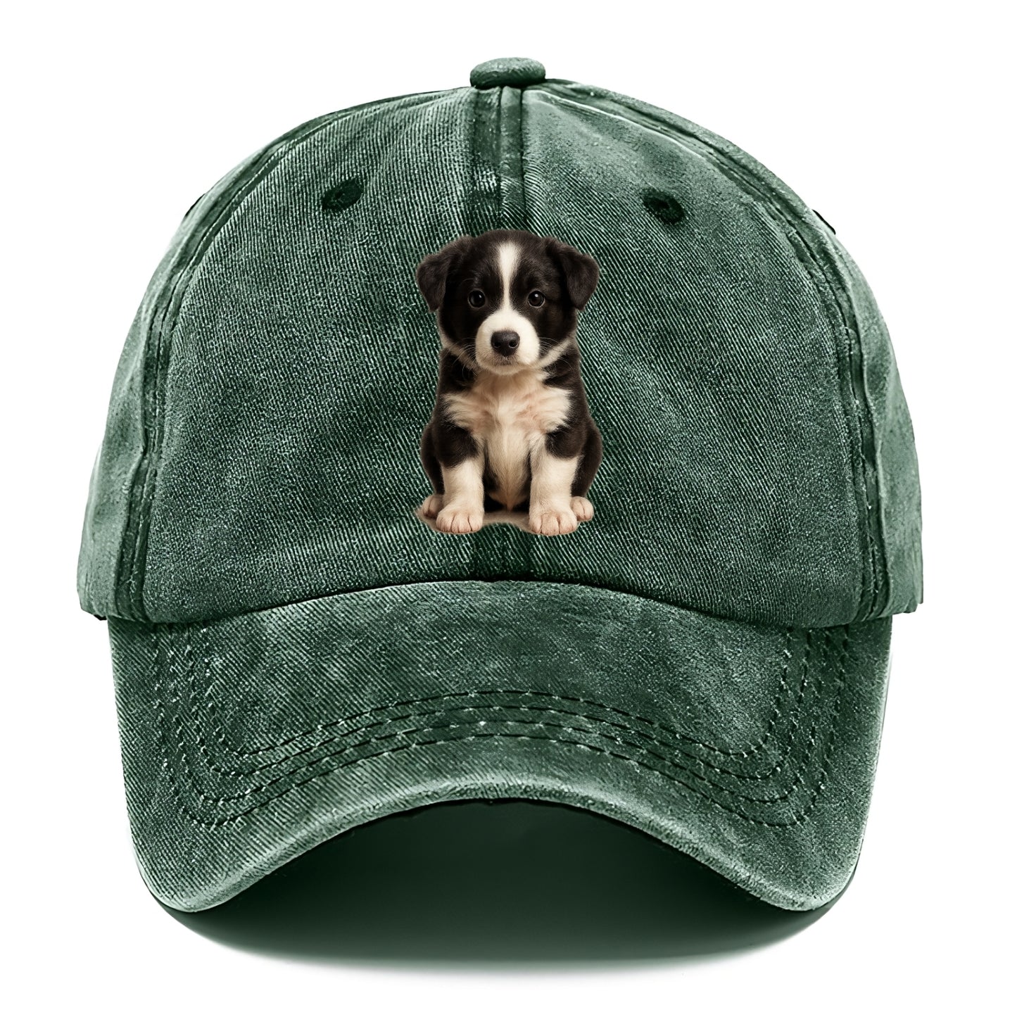 Baby Border Collie Puppy - black and white, intense smart eyes, athletic build, - Classic Cap - Forest Mist(Green)