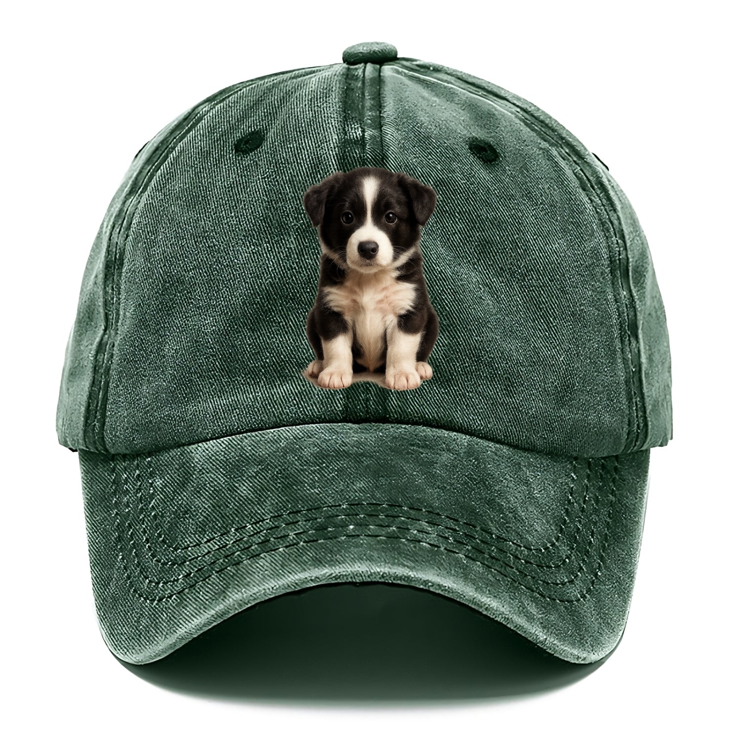 Baby Border Collie Puppy - black and white, intense smart eyes, athletic build, - Classic Cap - Forest Mist(Green)