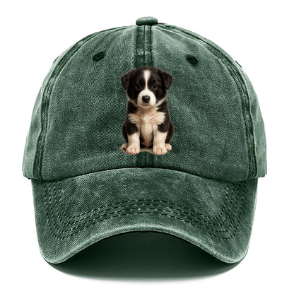 Baby Border Collie Puppy - black and white, intense smart eyes, athletic build, - Classic Cap - Forest Mist(Green)