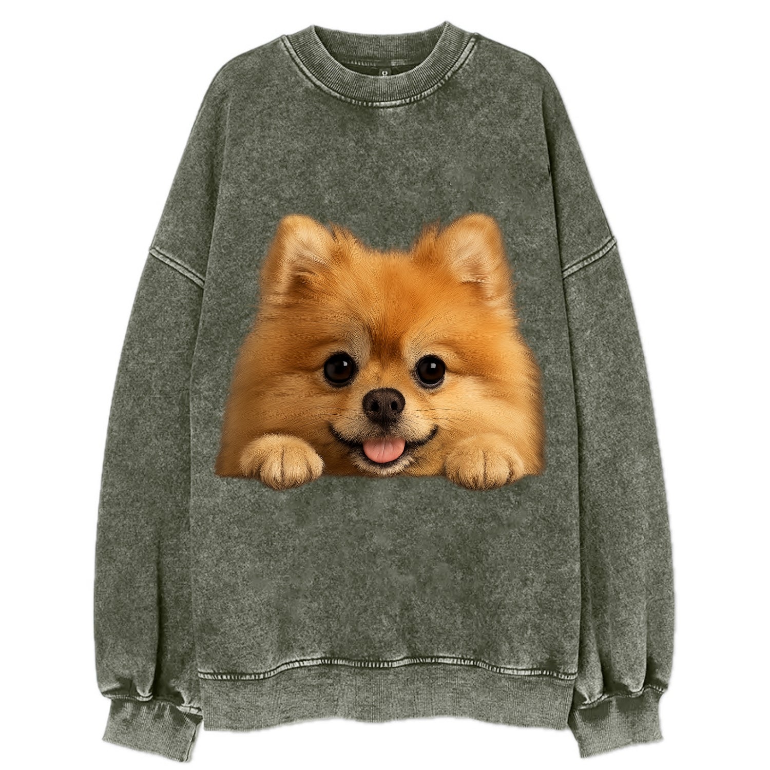 Pomeranian  - Vintage Sweatshirt - Forest Mist(Green)