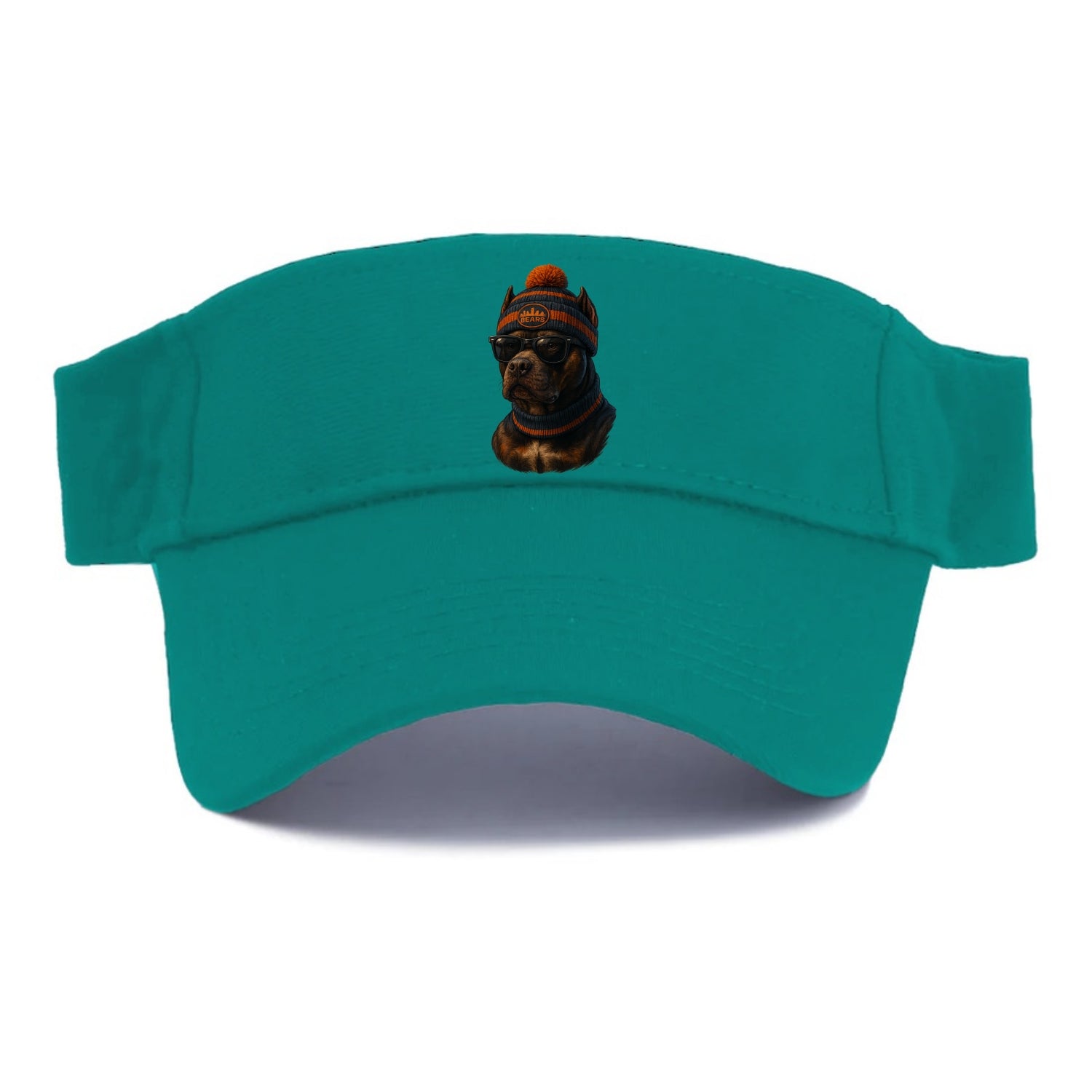 Chicago Pitbull wearing Bears beanie with skyline patch and wayfarer sunglasses - Visor - Forest Mist(Green)