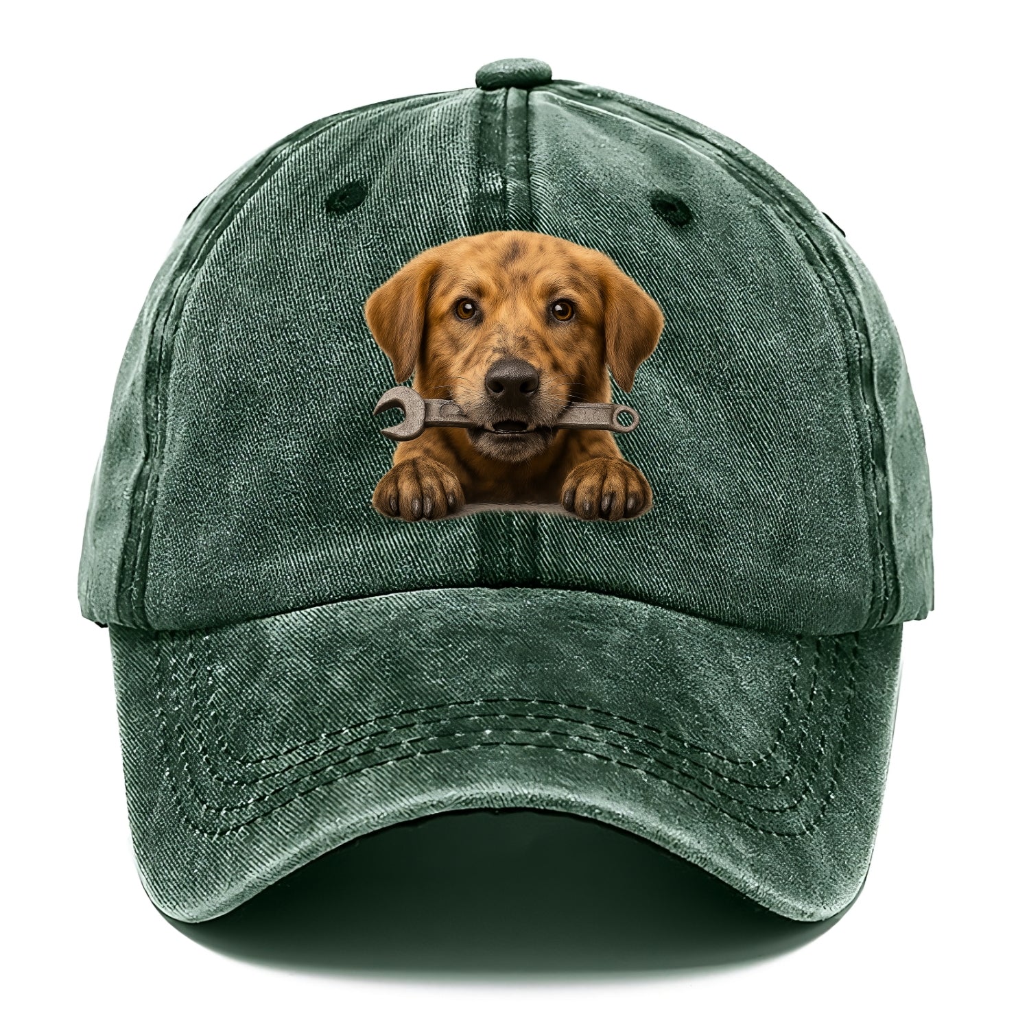 Mechanic Dog  - Classic Cap - Forest Mist(Green)
