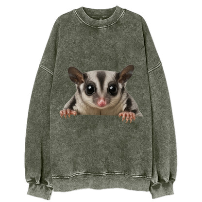Sugar Glider  - Vintage Sweatshirt - Forest Mist(Green)